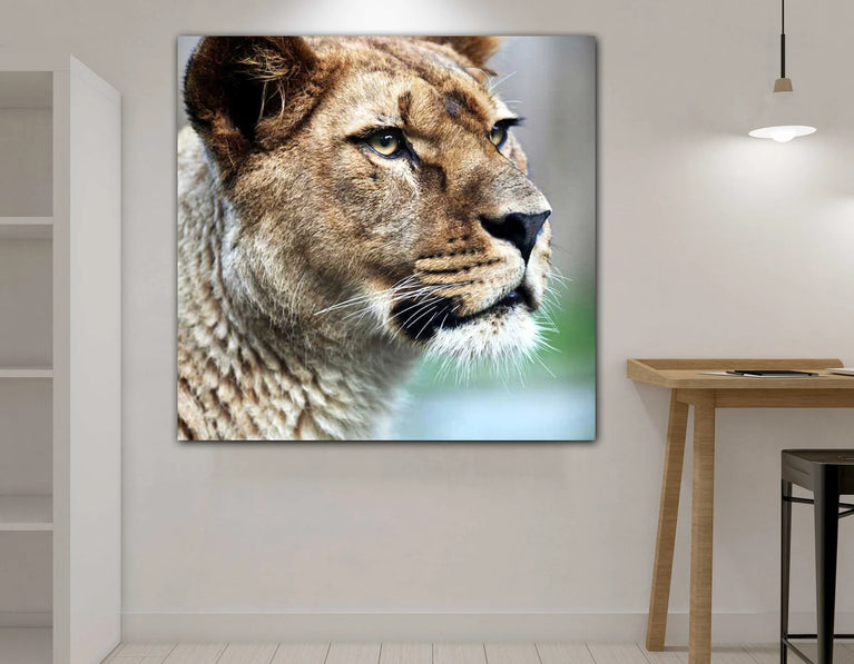 Lioness Head Side On Animal Canvas Print, Canvas Wall Art Poster Sticker