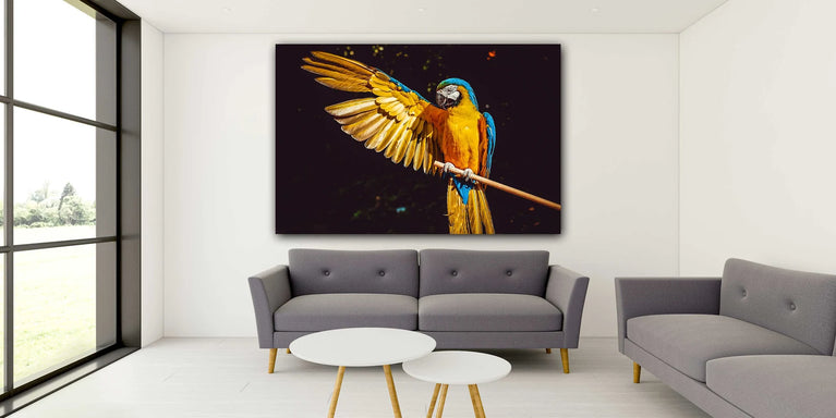 Yellow And Blue Macaw With One Wing Open Canvas Print, Canvas Wall Art Poster Sticker