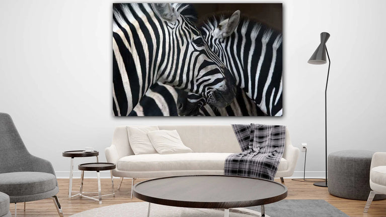 Black & White Two Zebra Canvas Print, Canvas Wall Art Poster Sticker