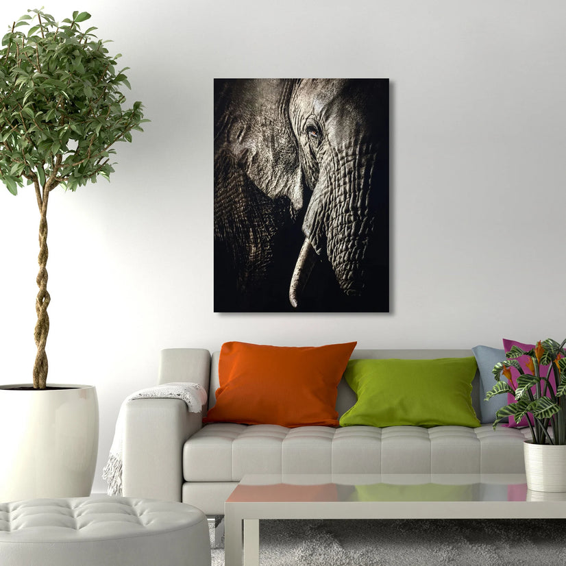 African Elephant Face Canvas Wall Arts, Home Wall Art Decor Poster Sticker