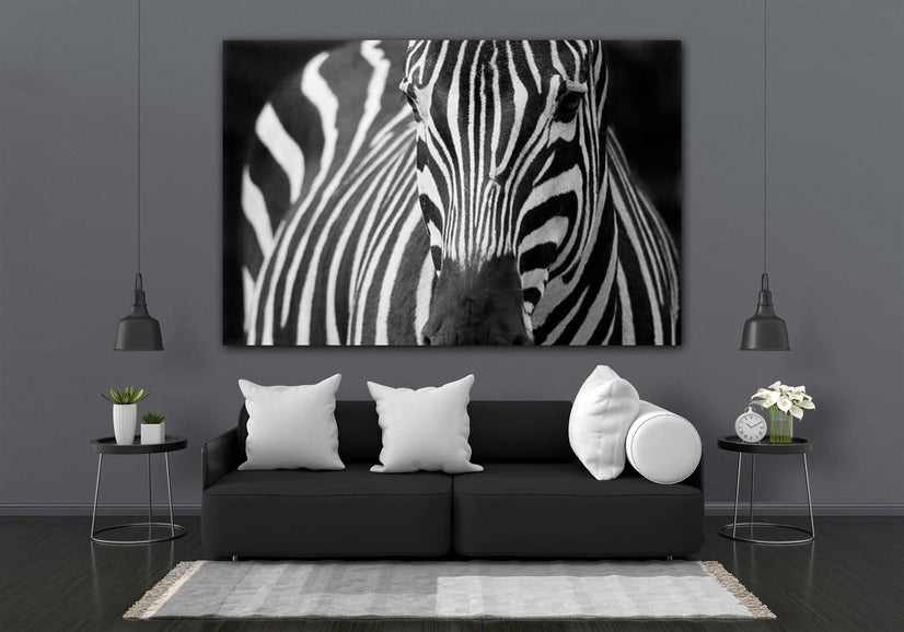 Black & White Zebra Facing Canvas Print, Canvas Wall Art Poster Sticker