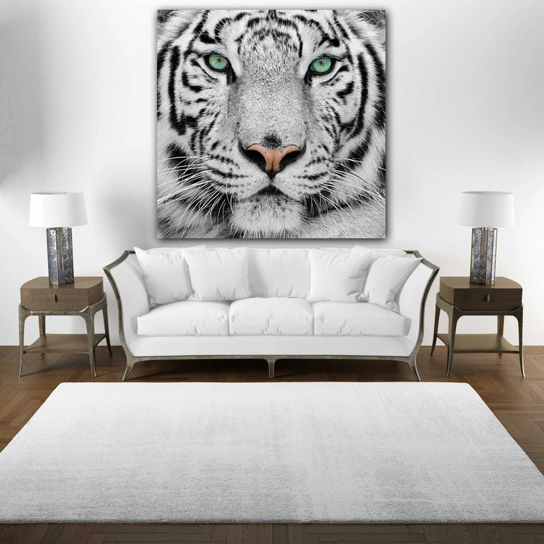 Green Eyed White Tiger Canvas Print, Canvas Wall Art Poster Sticker