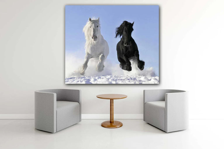 White Horse And Black Horse Couple Animal Canvas Print, Canvas Wall Art Poster Sticker