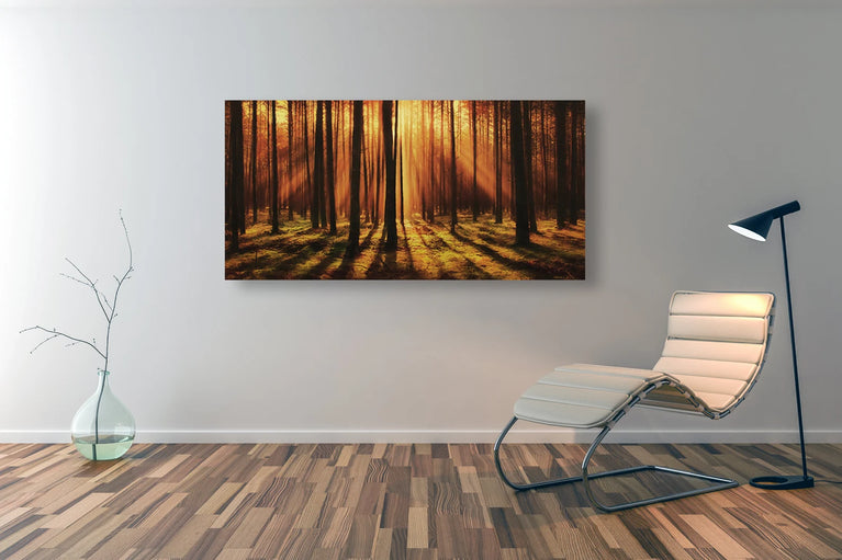 Sunset In Forest Landscape Wallpaper Canvas Wall Decor, Canvas Print Wall Art Poster Sticker