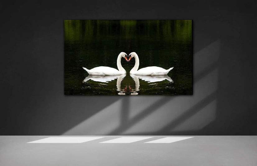 The Love Of Swans Canvas Print, Canvas Wall Art Poster Sticker