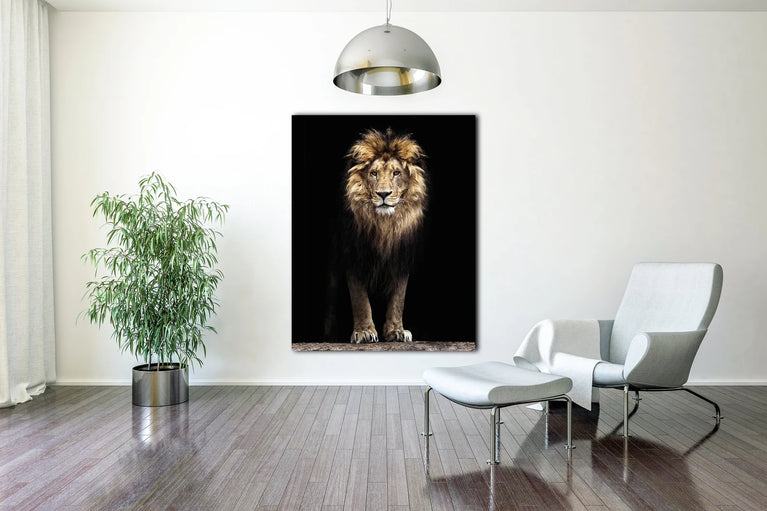 Lion - King of Animals Canvas Print, Canvas Wall Art Poster Sticker