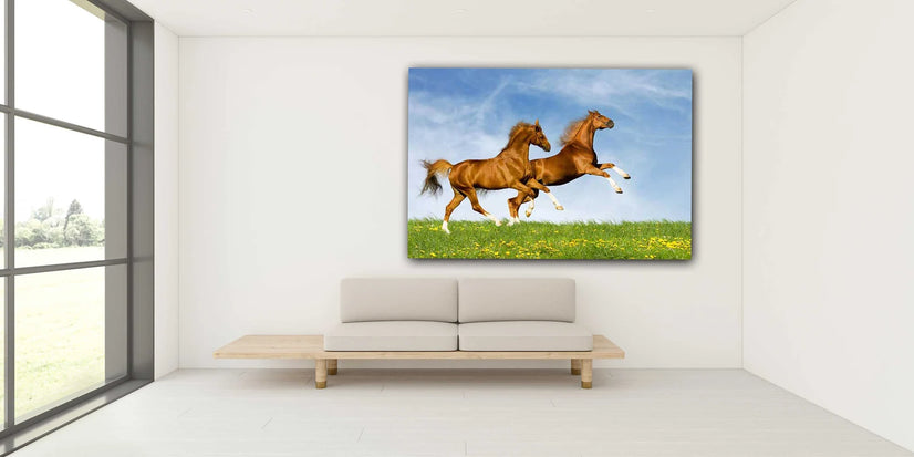 Two Horses Running In Nature Canvas Print, Canvas Wall Art Poster Sticker