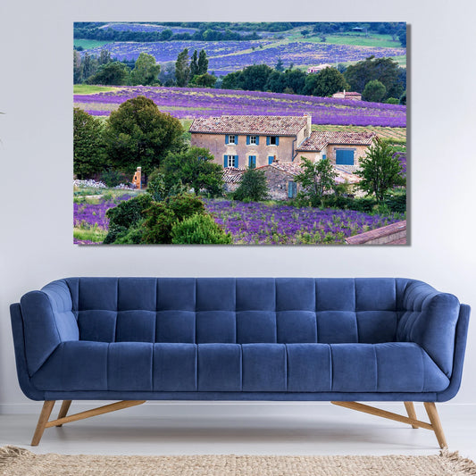 Blossoming Lavender Fields in Provence, France Landscape Canvas Wall Decor, Landscape Canvas Print Wall Art Poster Sticker