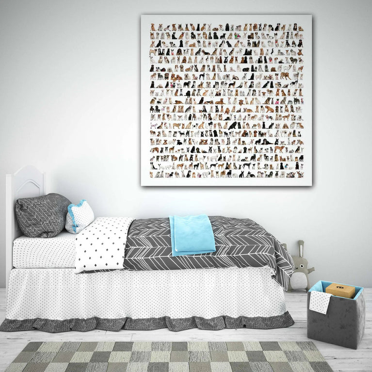 Different Dog Breeds Collection Canvas Print, Canvas Wall Art Poster Sticker