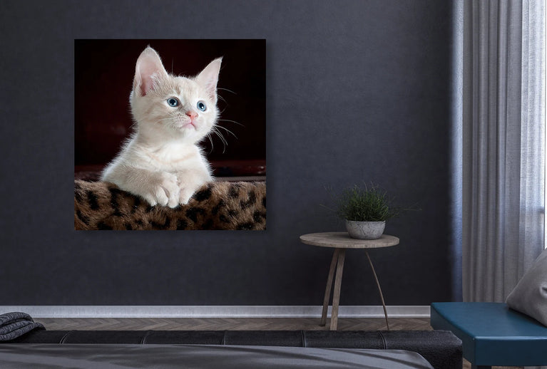 Cute Blue Eyed Cat Canvas Printing Wall Art Home Decor, Canvas Poster Art Sticker