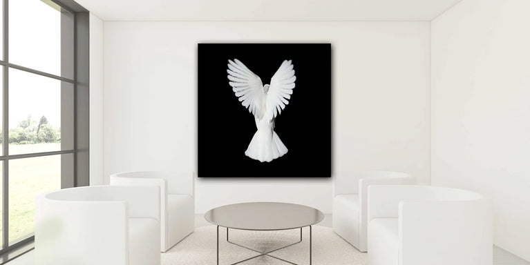 Flying White Pegion On A Black Background Canvas Print, Canvas Wall Art Poster Sticker