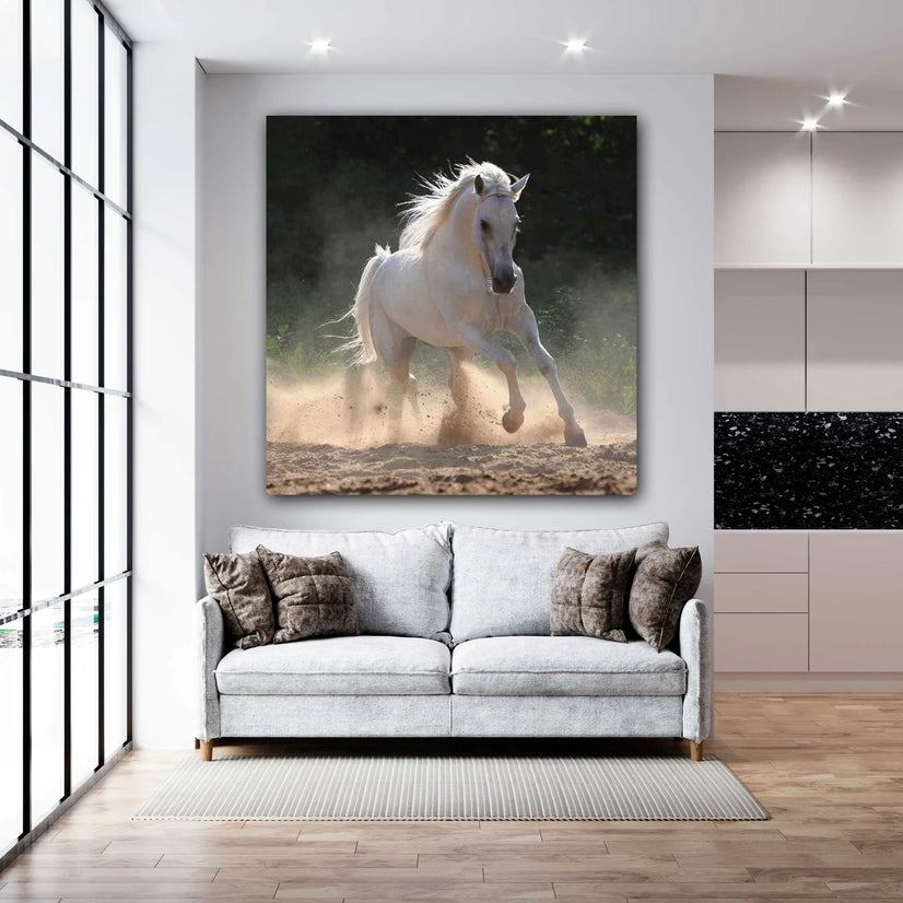 White Horse Running In Nature Canvas Print, Canvas Wall Art Poster Sticker