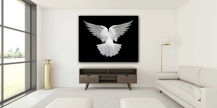 Flying White Pigeon On A Black Background Canvas Print, Canvas Wall Art Poster Sticker