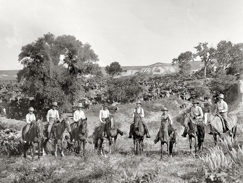 The Chisholm Trail Canvas Wall Art Canvas Poster Canvas Print Decor Wall Art Poster Sticker