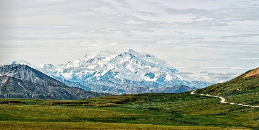 Mount Mckinley Denali National Park, Alaska, USA Landscape Canvas Wall Decor, Landscape Canvas Print Wall Art Poster Sticker