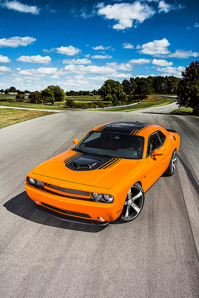 2015 Dodge Challenger SRT 0range Hellcat Canvas Wall Decor, Canvas Print Wall Art Poster Orange Hellcat Sticker